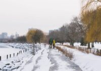 Austrumu horoskops nedēļai no 2025. gada 15. līdz 21. decembrim: svarīgi domāt skaidri, objektīvi un saprātīgi