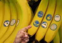 Neskatieties tikai uz mizu: ko patiesībā nozīmē cipari uz banānu uzlīmēm un kurus labāk nepirkt