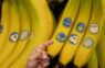 Neskatieties tikai uz mizu: ko patiesībā nozīmē cipari uz banānu uzlīmēm un kurus labāk nepirkt
