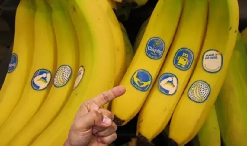 Neskatieties tikai uz mizu: ko patiesībā nozīmē cipari uz banānu uzlīmēm un kurus labāk nepirkt