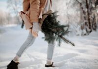 Kura Ziemassvētku eglīte labi smaržo un ilgi kalpo: izvēlies ideālo eglīti