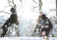 Horoskops 11. decembrim: Skorpionam – problēma, Zivīm – dāvanas