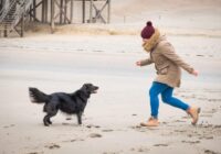 Horoskops nedēļai no 2025. gada 15. līdz 21. decembrim: iekšējais spēks veidos pozitīvus notikumus Horoskops nedēļai no 2025. gada 15. līdz 21. decembrim: iekšējais spēks veidos pozitīvus notikumus