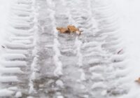 Toms Bricis maina plānus: oficiālā prognoze Ziemassvētku nedēļai sola spēcīgu salu – lūk, precīza zemākā temperatūra Toms Bricis maina plānus: oficiālā prognoze Ziemassvētku nedēļai sola spēcīgu salu – lūk, precīza zemākā temperatūra