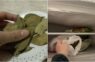 Kāpēc lauru lapas dedzināt, vārīt ar etiķi un sasaldēt – 5 mājsaimniecības ieteikumi ar lauru lapām, kas jāzina katrai prasmīgai saimniecei