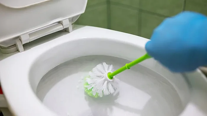 Kā es beidzot tiku vaļā no aplikuma un smakas tualetē: vienkāršs un drošs paņēmiens bez ķimikālijām