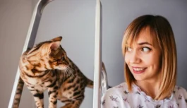 Kāpēc kaķis staigā nopakaļ: ko nozīmē šī mazā “izsekošana” Kāpēc kaķis staigā nopakaļ: ko nozīmē šī mazā “izsekošana”