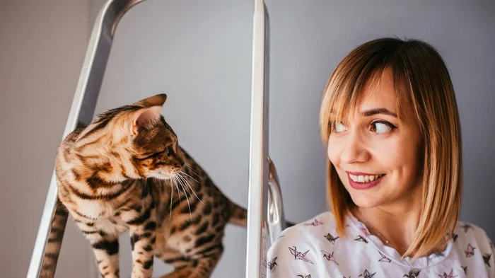 Kāpēc kaķis staigā nopakaļ: ko nozīmē šī mazā “izsekošana”