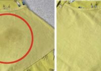 Kā iztīrīt tauku traipus no dažādiem audumiem – eksperti atklāj, kas tam ir nepieciešams