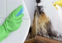 Kā es tiku galā ar pelējumu savās mājās: vienkārši soļi, kas tiešām strādā Kā es tiku galā ar pelējumu savās mājās: vienkārši soļi, kas tiešām strādā