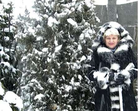 Kā pasargāt savas tūjas un kadiķus piemājas dārzā: mana pieredze ar smago sniegu