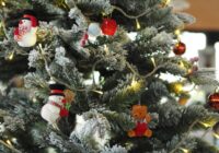 Ziemassvētku eglīte “nosvinējusi” svētkus — es to nemetu miskastē, bet atbrīvojos no tās, nekaitējot dabai