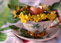 Nemetiet tās miskastē: Lūk, kāpēc gudri dārznieki jau janvārī sāk krāt olu čaumalas Nemetiet tās miskastē: Lūk, kāpēc gudri dārznieki jau janvārī sāk krāt olu čaumalas