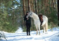 Horoskops nedēļai no 2026. gada 5. līdz 11. janvārim: jāizvairās no visa, kas rada raizes