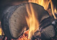 3 labākie malkas veidi, kas silda divreiz karstāk un ilgāk – ekspertu padomi 3 labākie malkas veidi, kas silda divreiz karstāk un ilgāk – ekspertu padomi