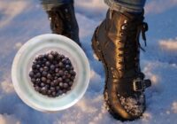 Vairs nevelku trīs pārus zeķu: Kā saglabāt siltas kājas pat pie -30 grādiem, izmantojot virtuves skapīša saturu Vairs nevelku trīs pārus zeķu: Kā saglabāt siltas kājas pat pie -30 grādiem, izmantojot virtuves skapīša saturu