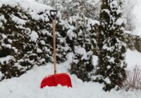 Draudi zem baltās segas: kad liekais sniegs var kaitēt augiem