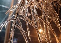 Var iznīcināt 70% ražas: kāpēc ledus uz kokiem ir bīstams un kā glābt savu dārzu Var iznīcināt 70% ražas: kāpēc ledus uz kokiem ir bīstams un kā glābt savu dārzu