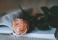 Mīlestības horoskops nedēļai no 12. līdz 18. janvārim: Jaunavai – empātija, Ūdensvīram – atsvešinātība Mīlestības horoskops nedēļai no 12. līdz 18. janvārim: Jaunavai – empātija, Ūdensvīram – atsvešinātība