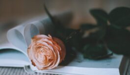 Mīlestības horoskops nedēļai no 12. līdz 18. janvārim: Jaunavai – empātija, Ūdensvīram – atsvešinātība Mīlestības horoskops nedēļai no 12. līdz 18. janvārim: Jaunavai – empātija, Ūdensvīram – atsvešinātība