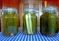 Kāpēc marinēti gurķi vidū kļūst tukši un kā saglabāt to kraukšķīgumu