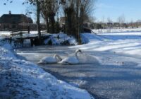 Horoskops 7. janvārim: Jaunavai – labas ziņas, Strēlniekam – šķēršļi ceļā uz panākumiem